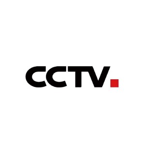 CCTV，原站合作品牌标志