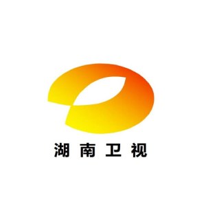 湖南卫视，原站合作品牌标志